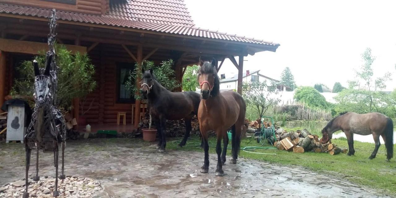 فندق Dom Argyelus - Argyelus Haz - Fesztypark Martovce المظهر الخارجي الصورة